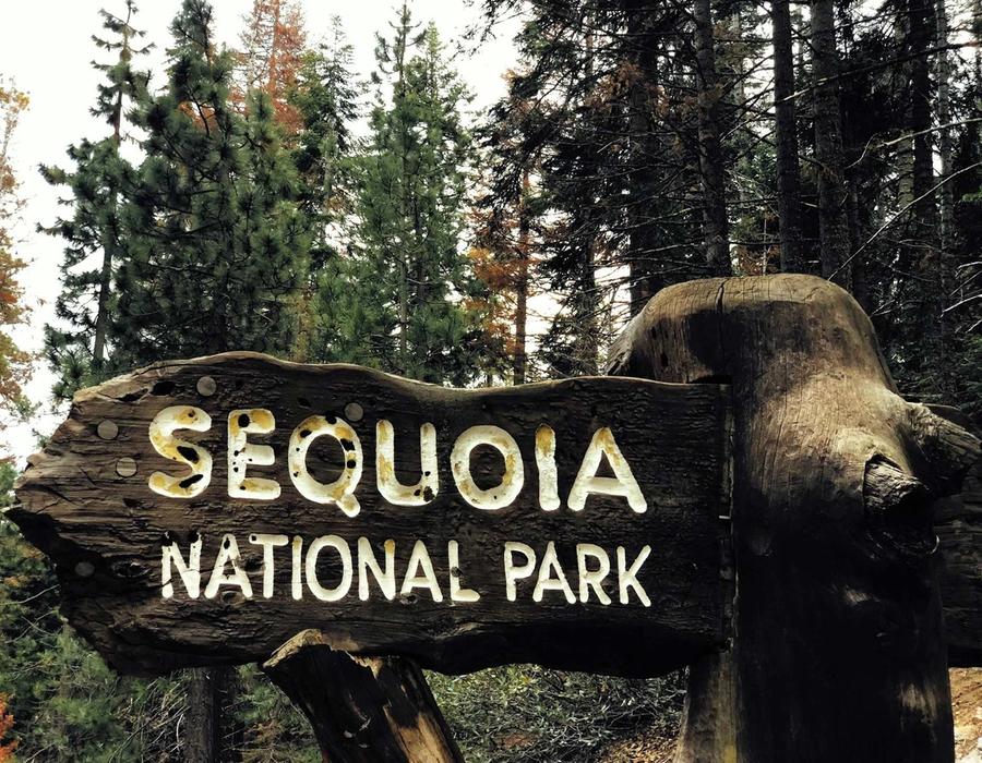 Sequoia National Park near Visalia, California, USA