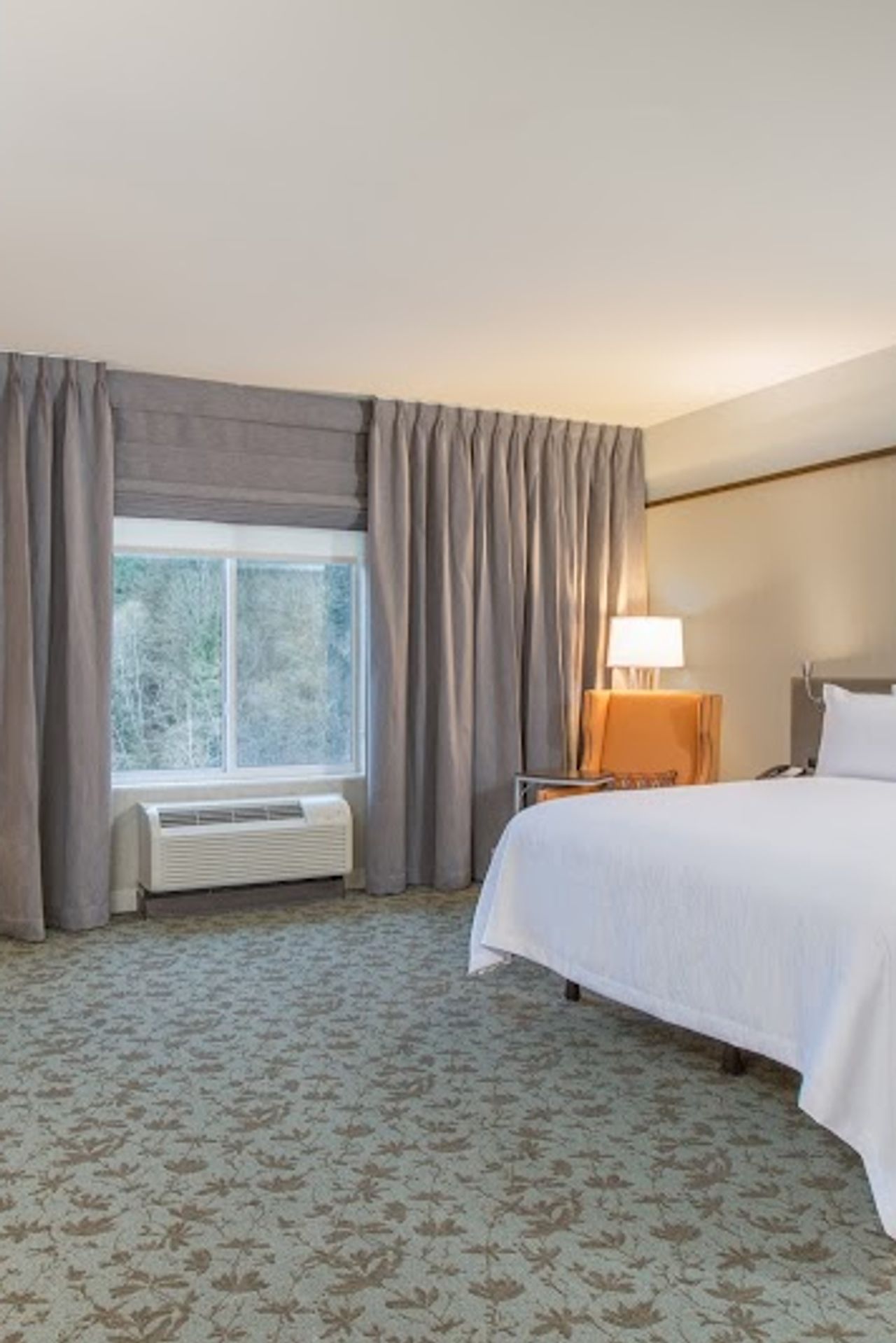 Photo of Hilton Garden Inn Olympia