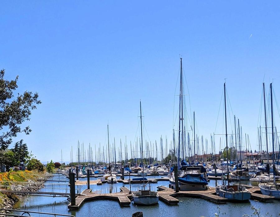 Buckley Cove Park - Stockton, CA