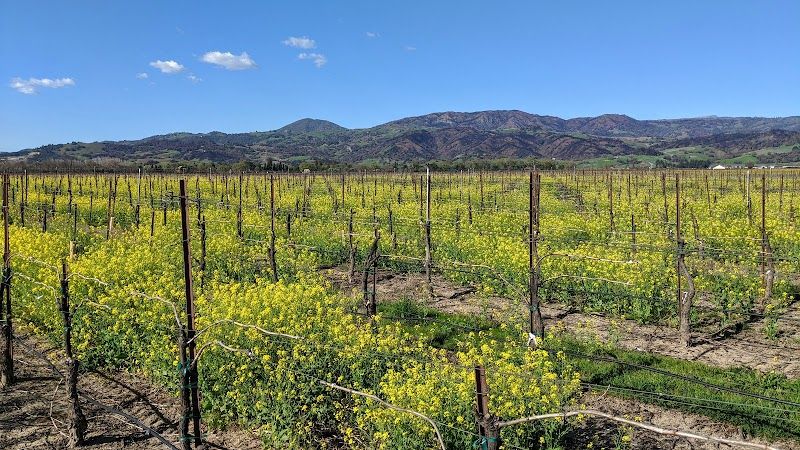 Photo of Wildhaven Sonoma Glamping