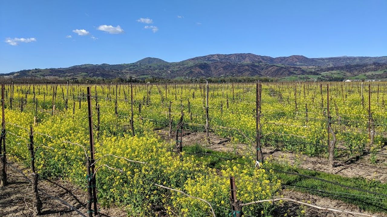 Photo of Wildhaven Sonoma Glamping