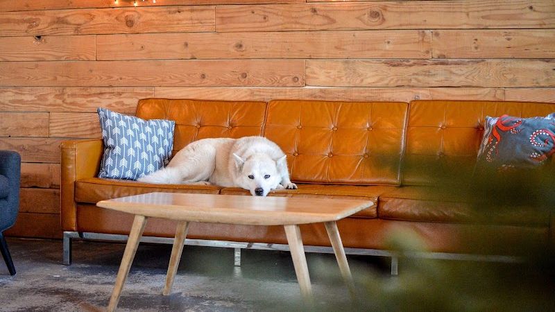 Photo of Ashore Hotel