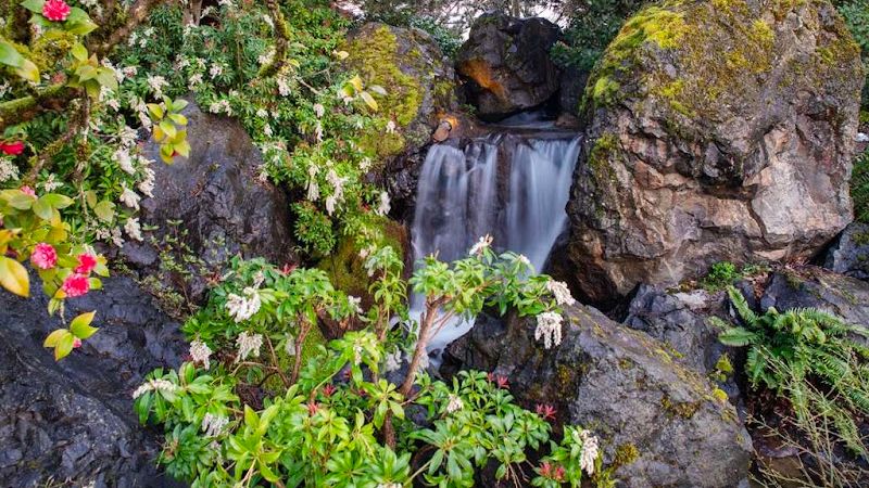 Photo of Best Western Premier Boulder Falls Inn