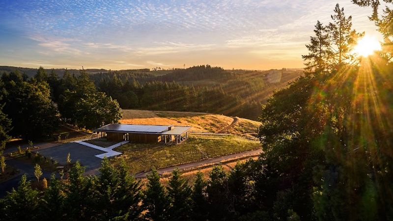 Photo of Inn the Ground