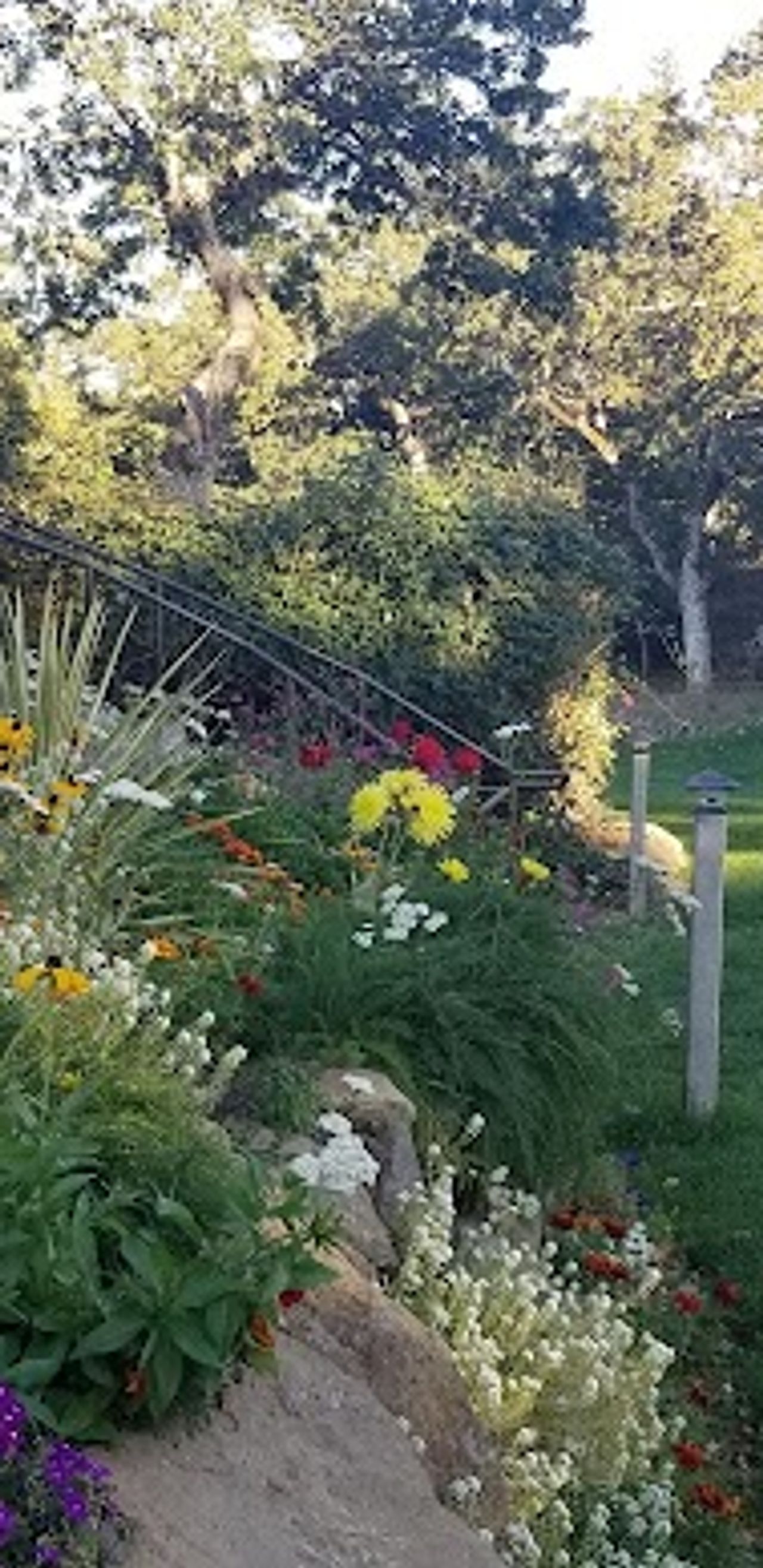 Photo of Westcliff Lodge