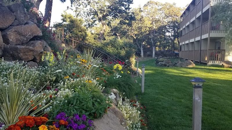 Photo of Westcliff Lodge