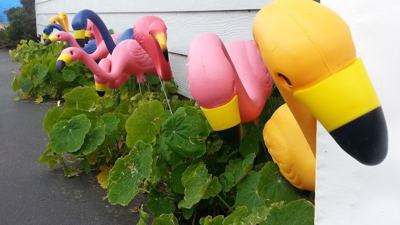 Photo of Ocean Suites Motel