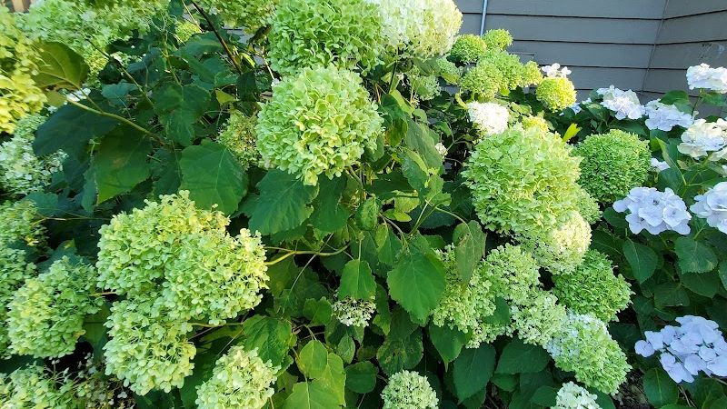 Photo of Sunset Motel