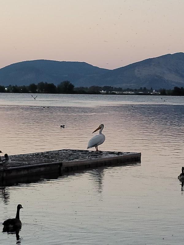 Photo of Travelodge by Wyndham Klamath Falls