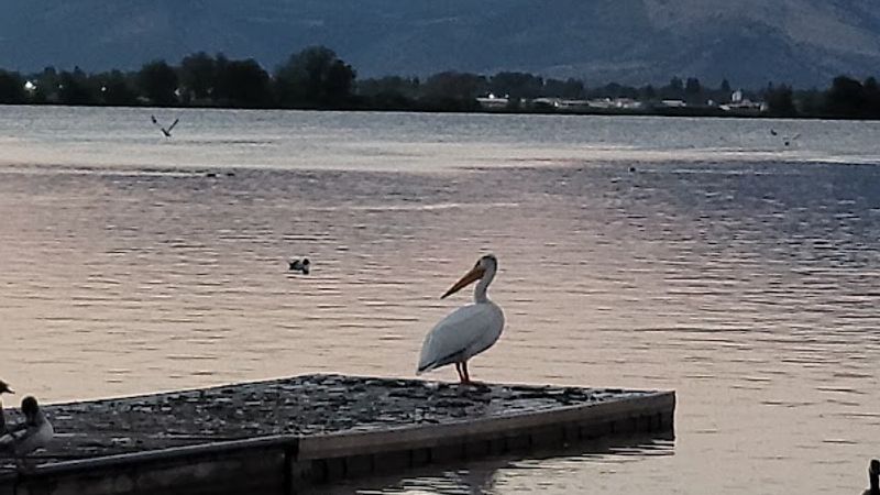 Photo of Travelodge by Wyndham Klamath Falls