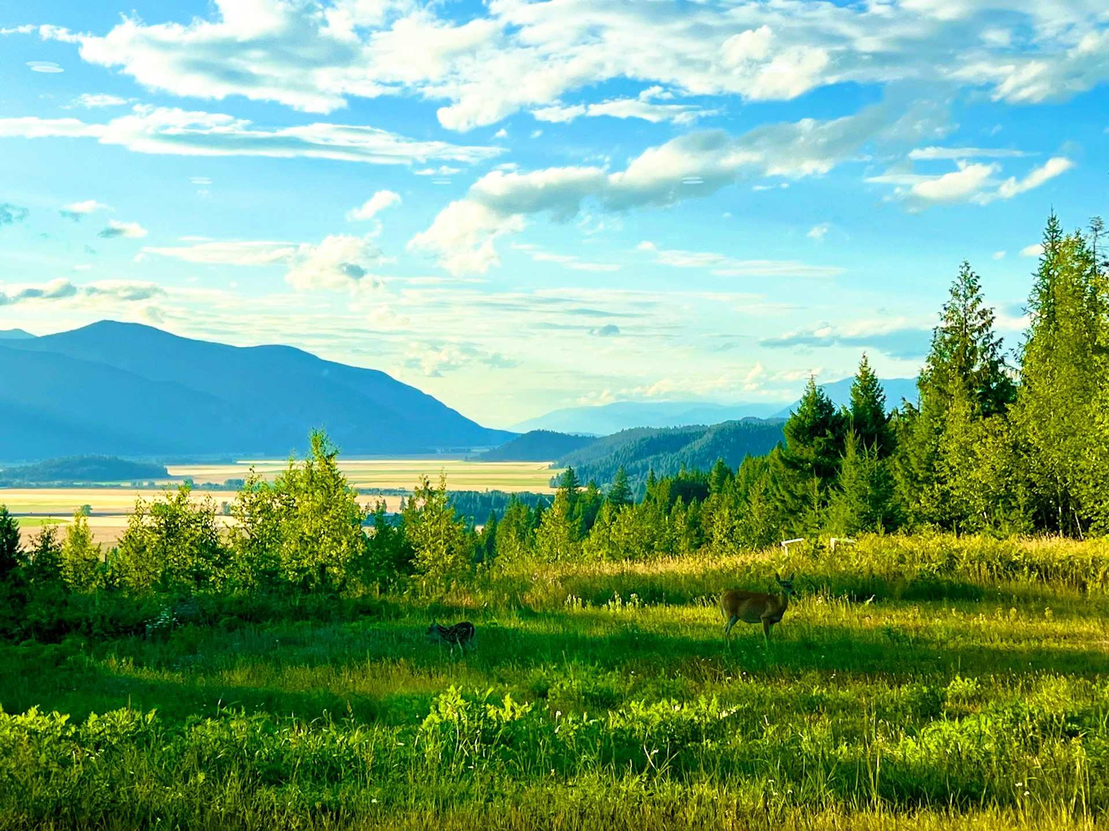 Bonners Ferry, Idaho, USA