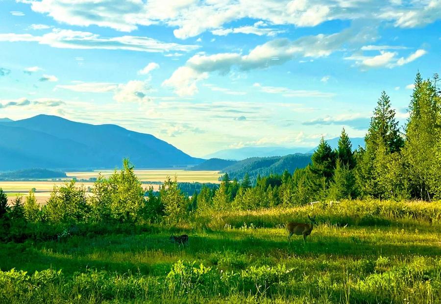 Bonners Ferry, Idaho, USA