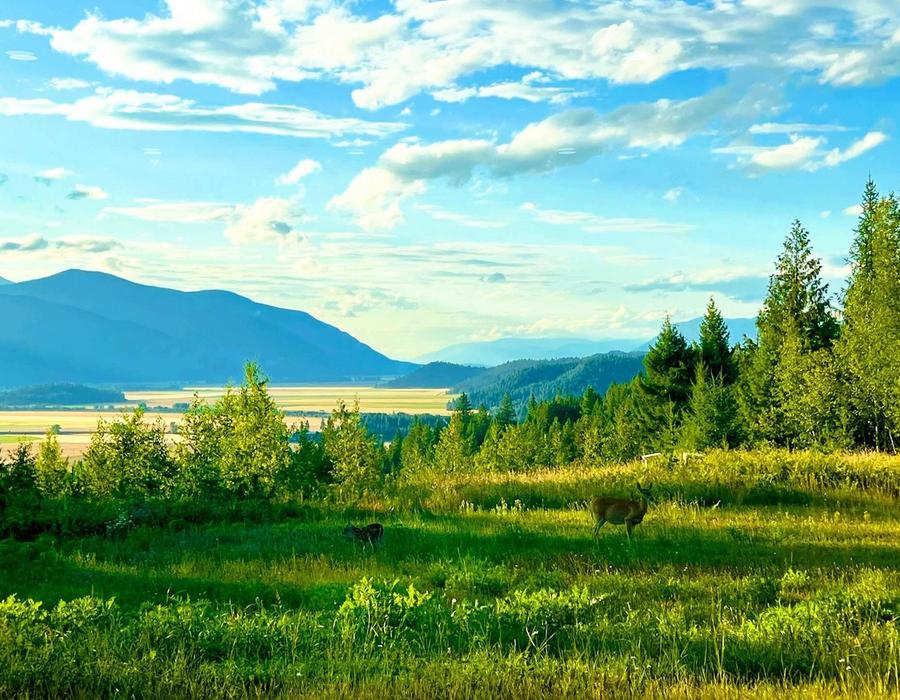 Bonners Ferry, Idaho, USA