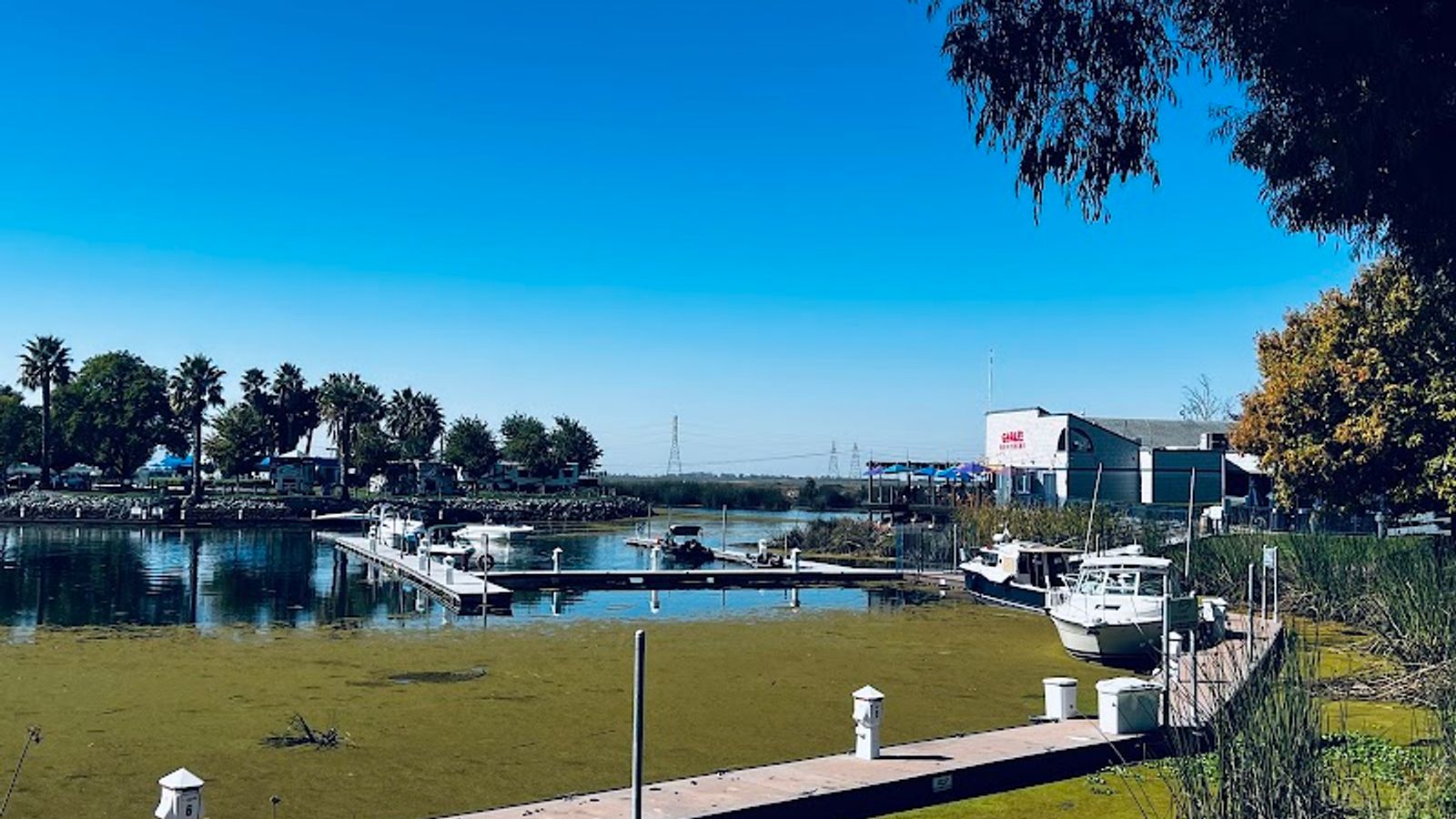 Photo of Village West Marina & Resort - View from property