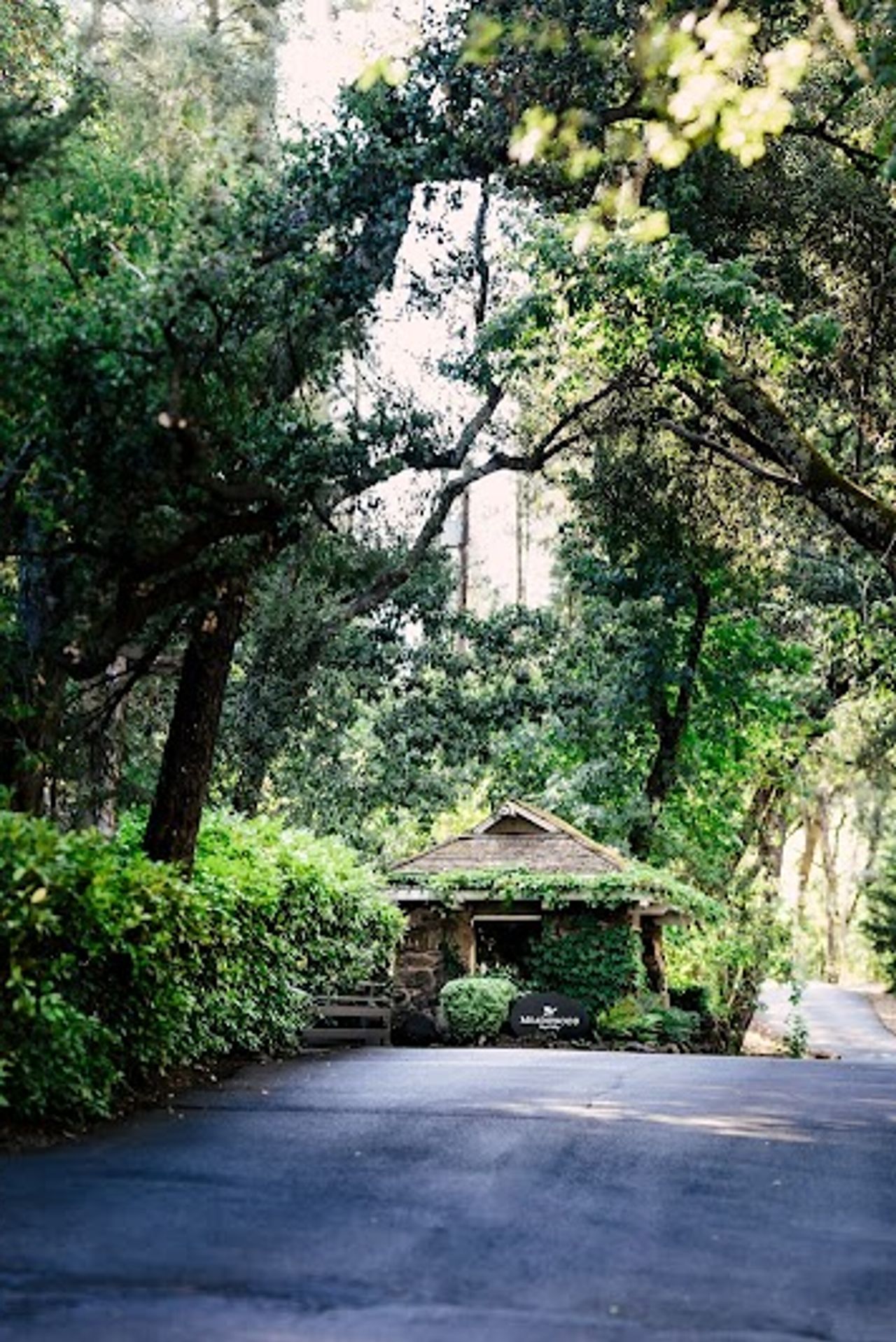 Photo of Meadowood Napa Valley