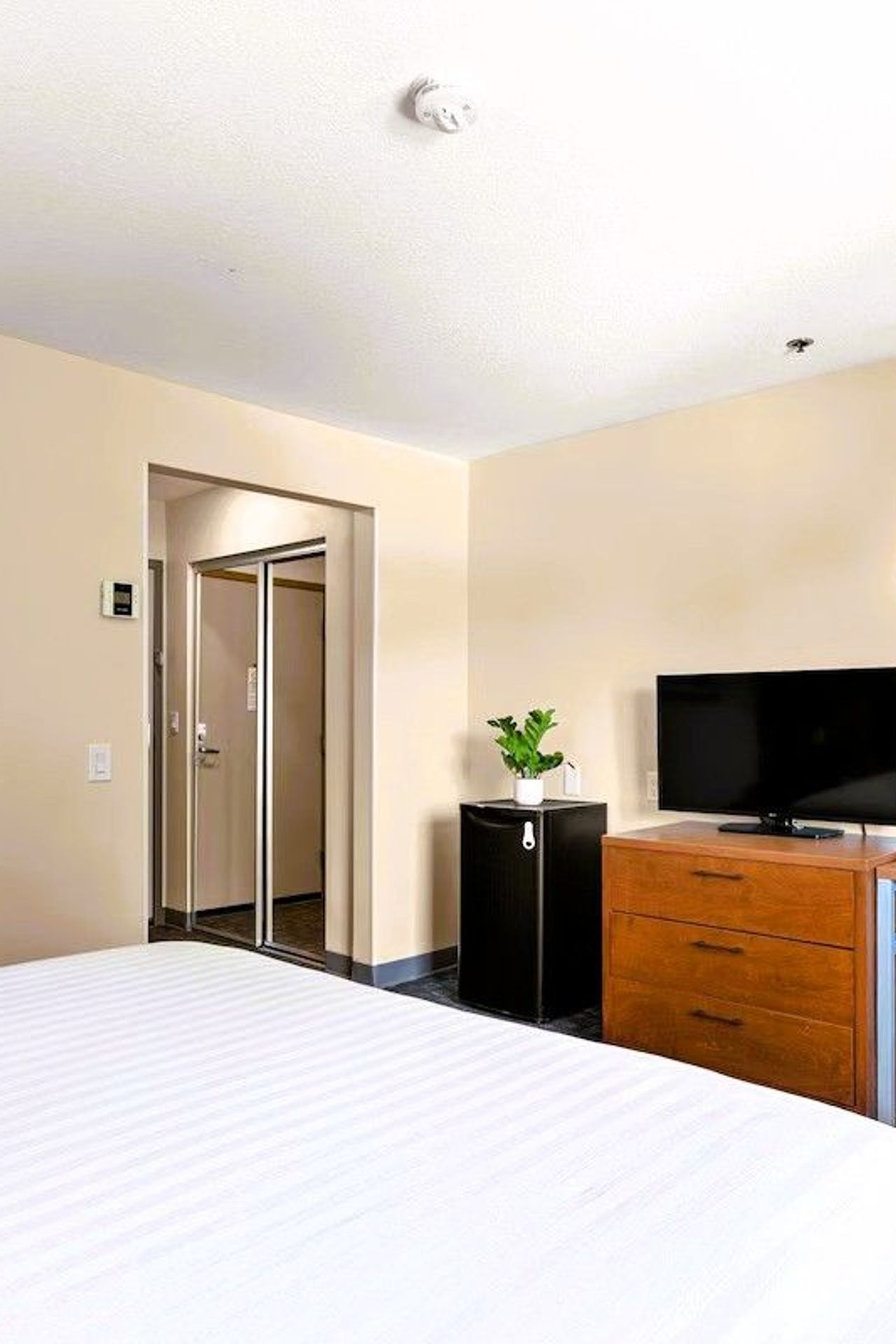 Good Nite Inn Fremont San Jose - Room