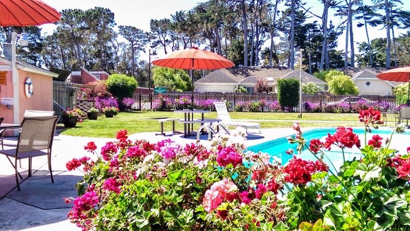 Photo of Butterfly Grove Inn - Outdoor pool, hot tub, seating area