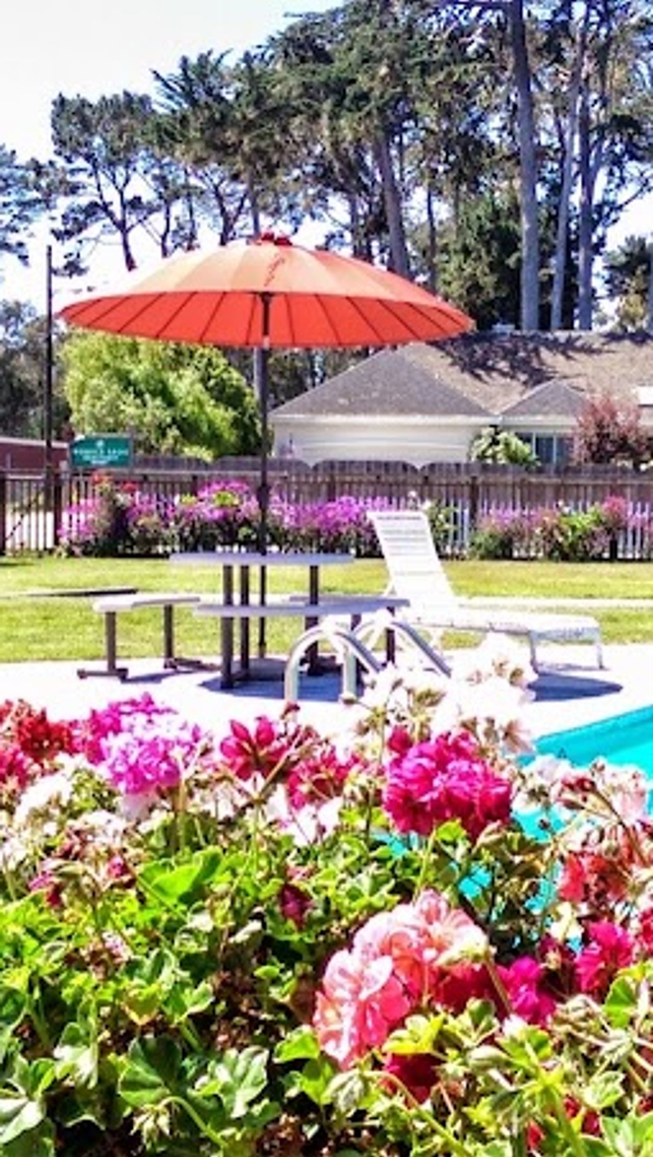 Photo of Butterfly Grove Inn - Outdoor pool, hot tub, seating area