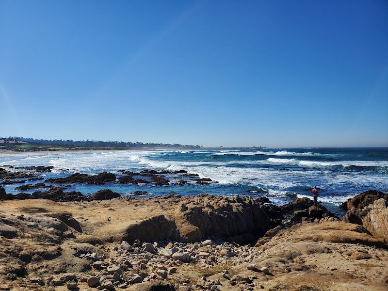 Photo of Pacific Gardens Inn - Walking distance to beach
