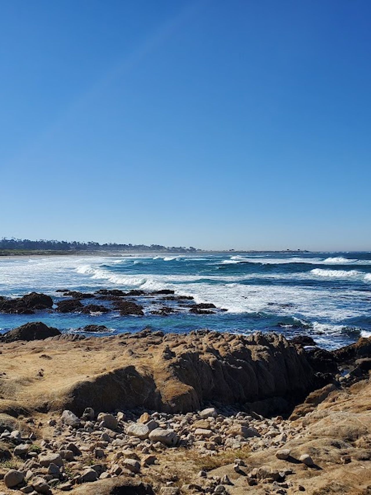 Photo of Pacific Gardens Inn - Walking distance to beach