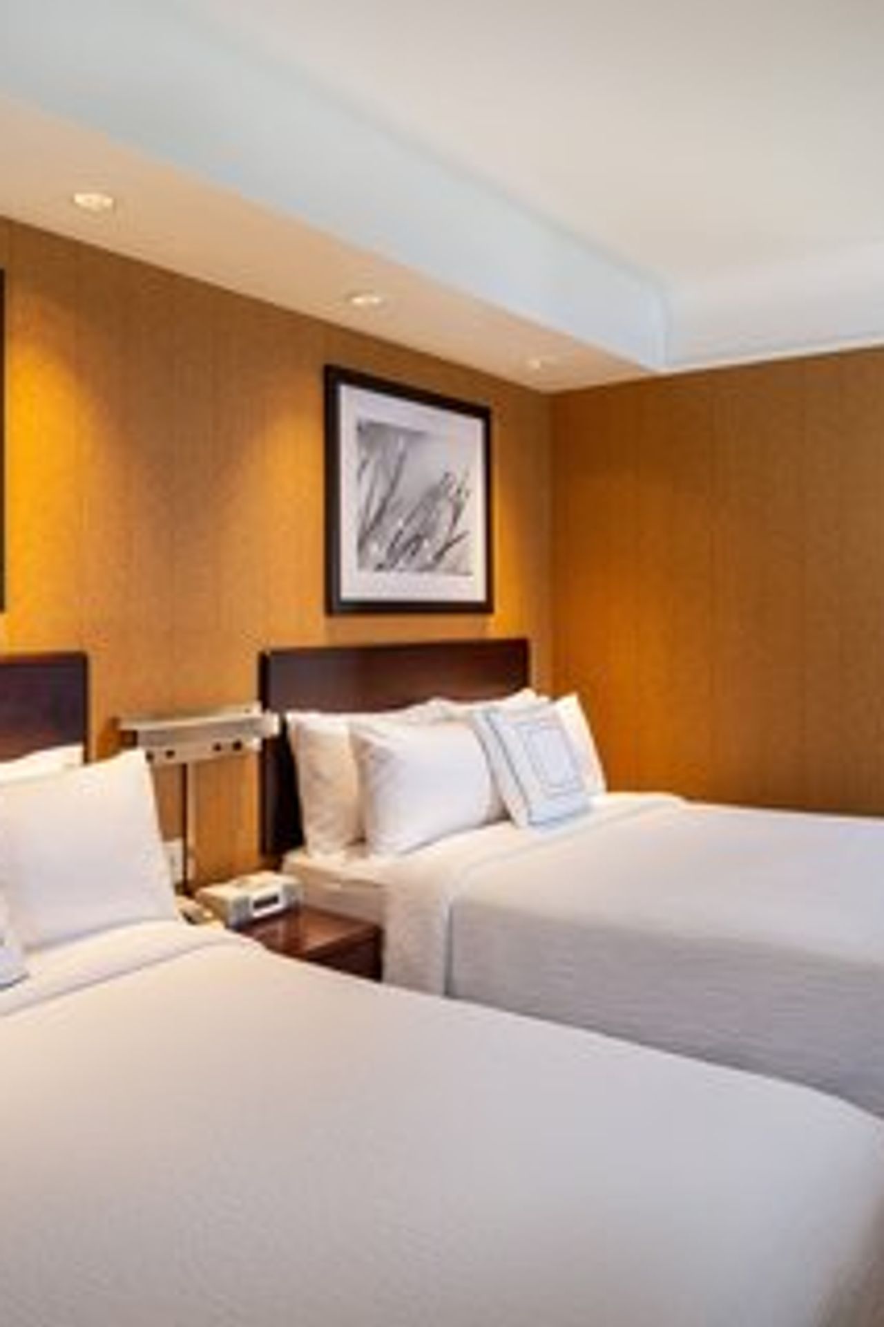 Photo of SpringHill Suites Modesto