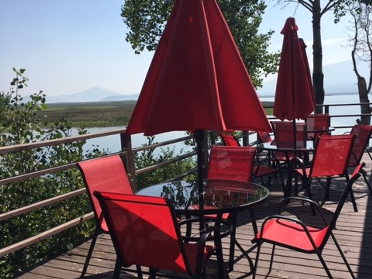 Photo of Rocky Point Resort