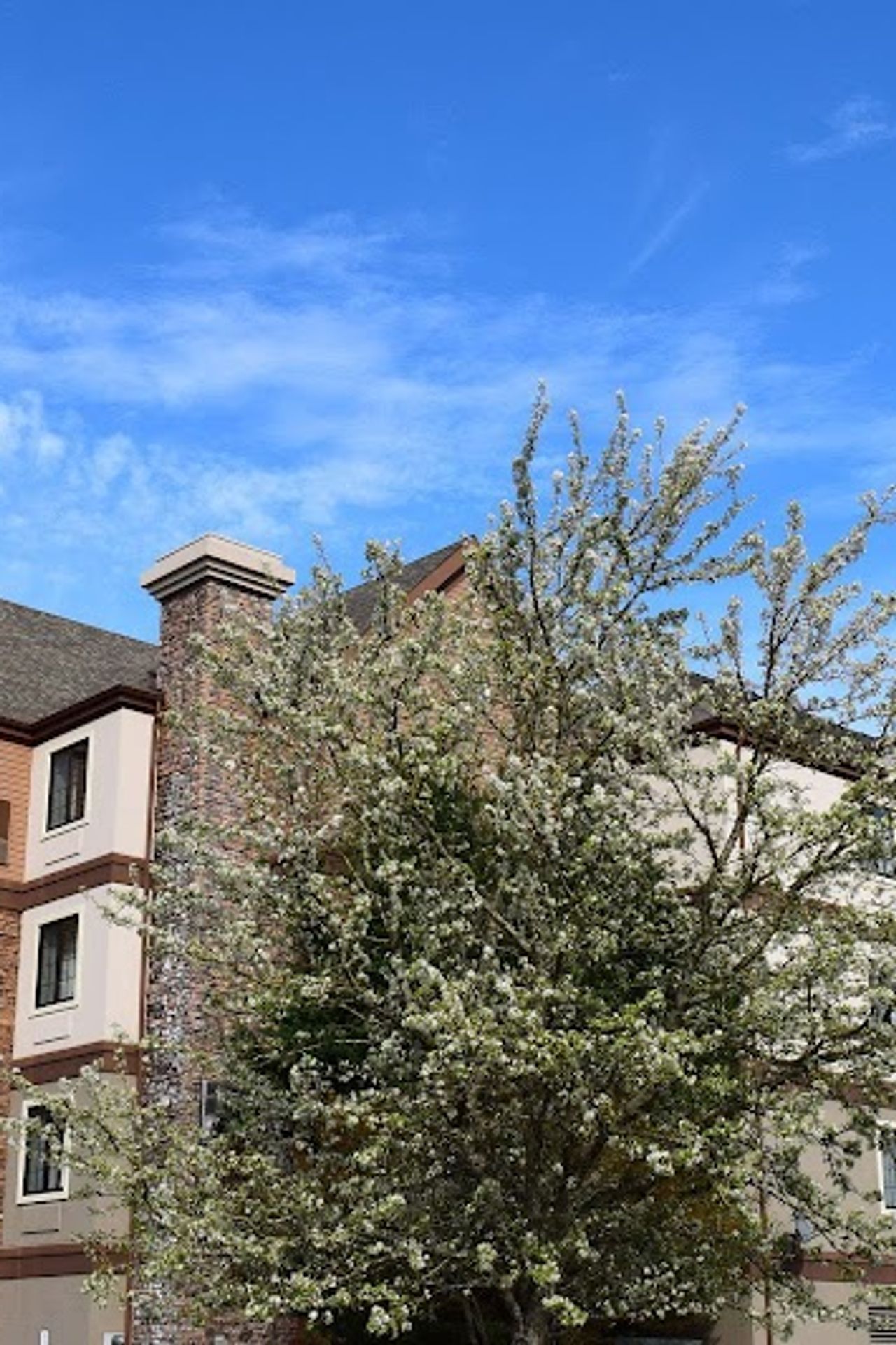 Photo of Sonesta ES Suites Portland Vancouver 41st Street