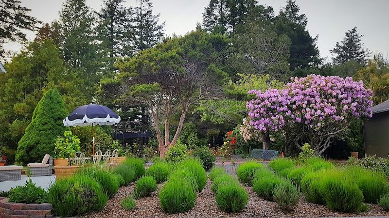 Photo of Endicott Gardens Bed & Breakfast and Spa