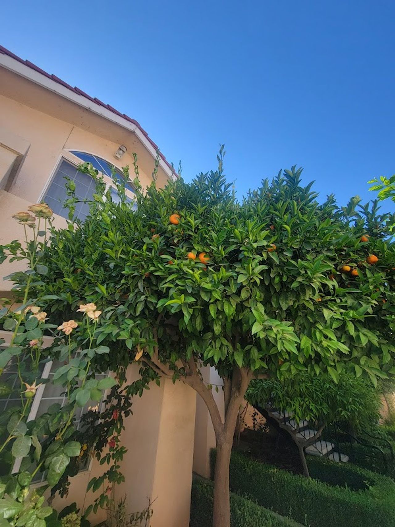 Photo of Garden Inn and Suites