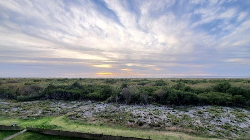 Photo of The Polynesian Resort