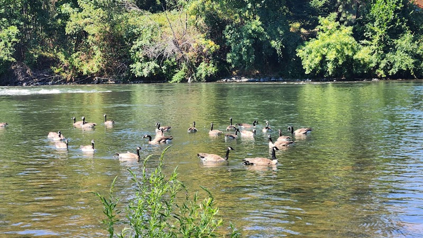 Photo of Rogue River Resort