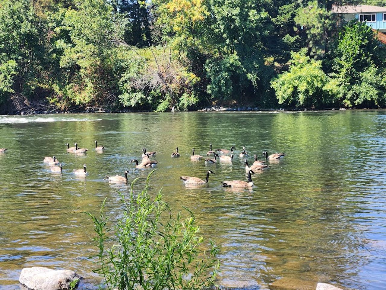 Photo of Rogue River Resort