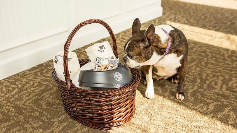 Photo of Looking Glass Inn