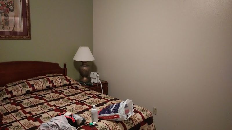 Photo of Laguna Lodge - Room, King Bed