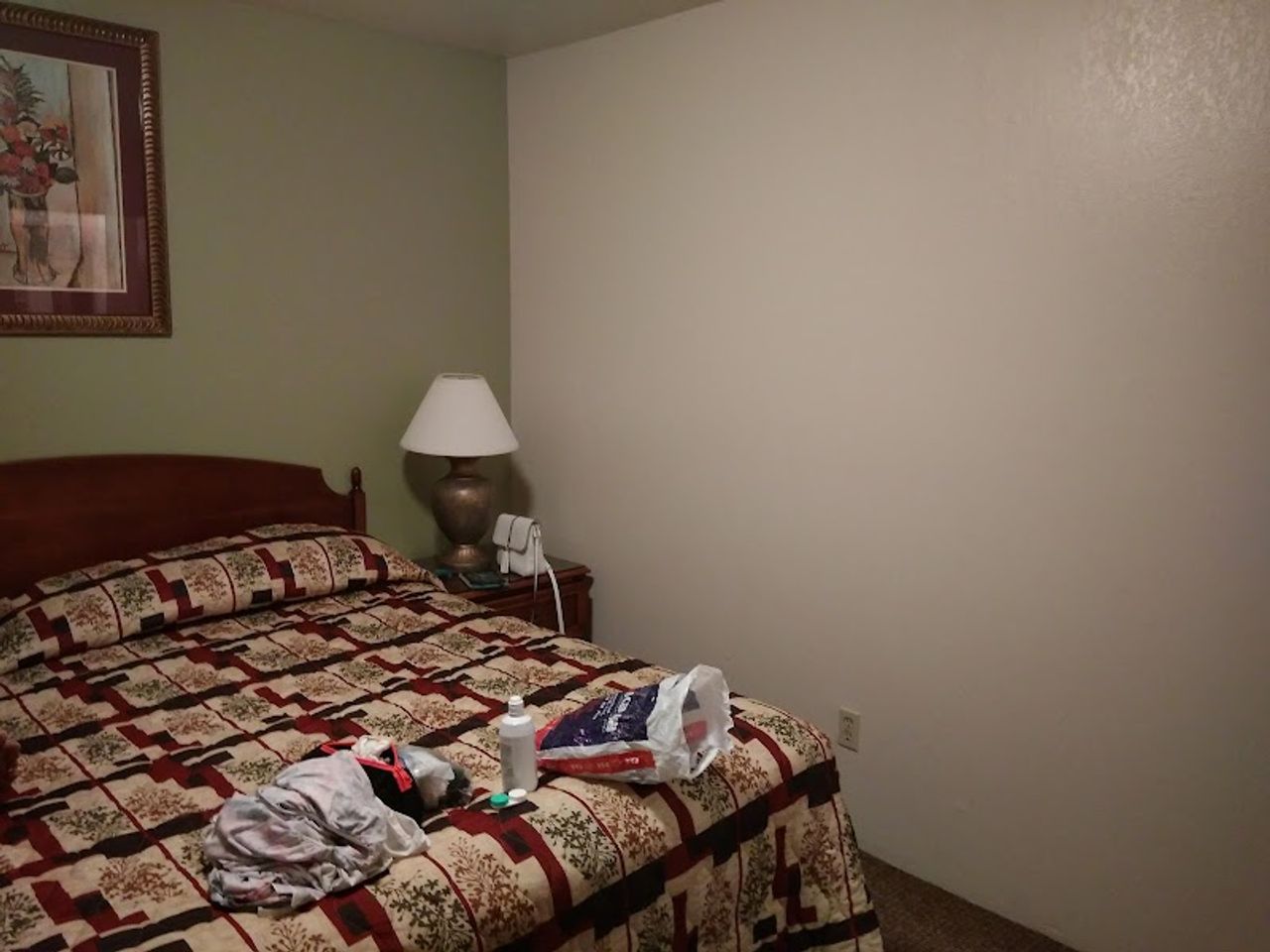 Photo of Laguna Lodge - Room, King Bed