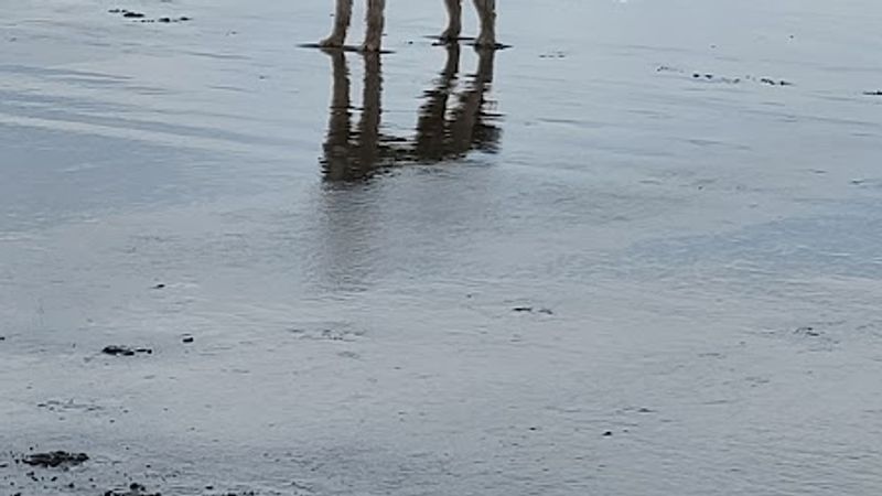 Photo of Deane’s Oceanfront Lodge