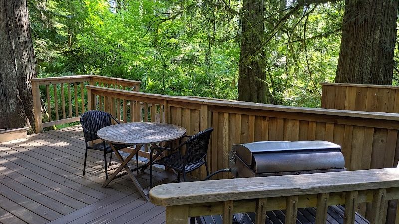 Photo of Deep Forest Cabins - Mt Home Log Cabin, sun deck with table and chairs, gas BBQ and hot tub