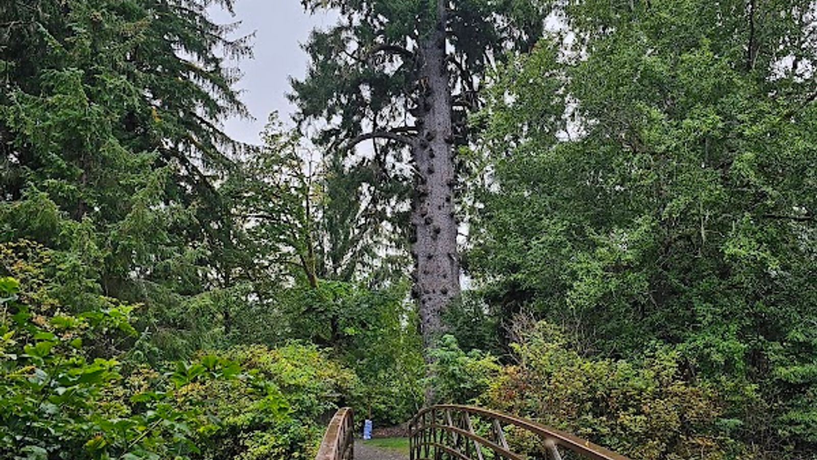 Photo of Rain Forest Resort Village