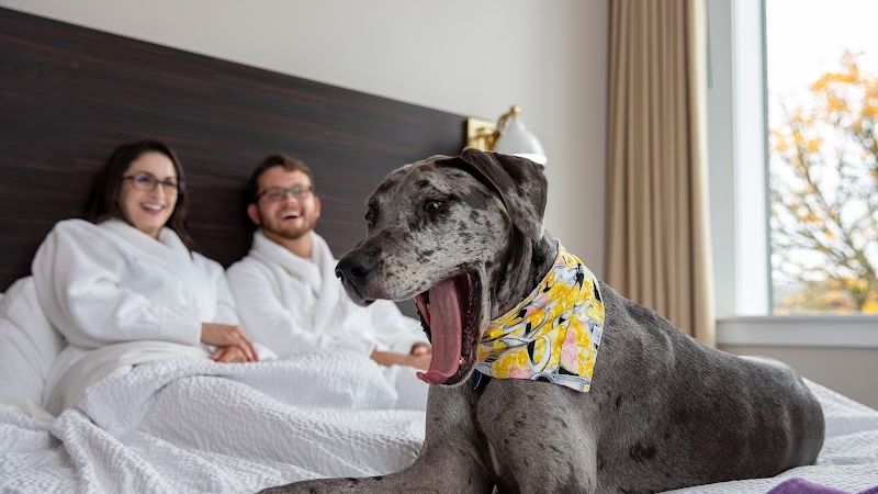 Photo of The Dundee Hotel - Pet-Friendly