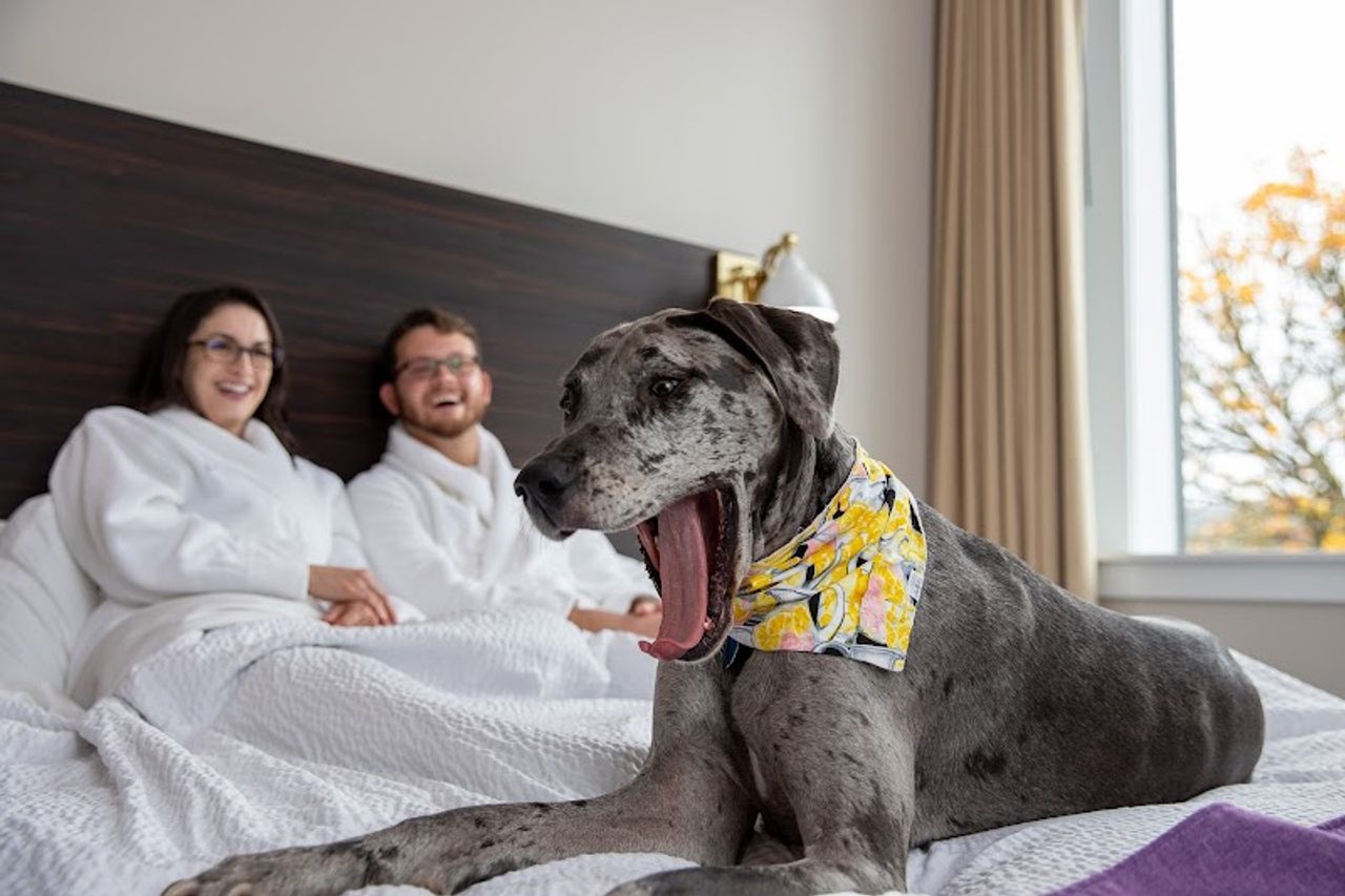 Photo of The Dundee Hotel - Pet-Friendly