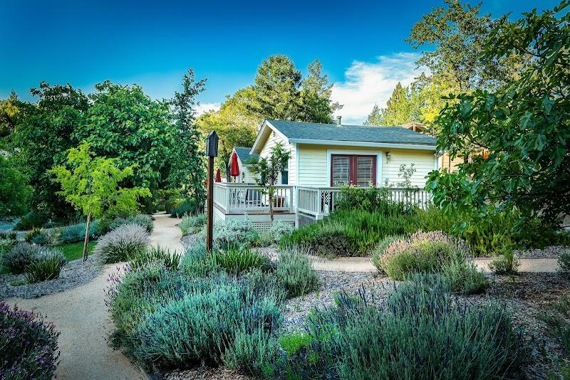 Photo of Aurora Park Cottages
