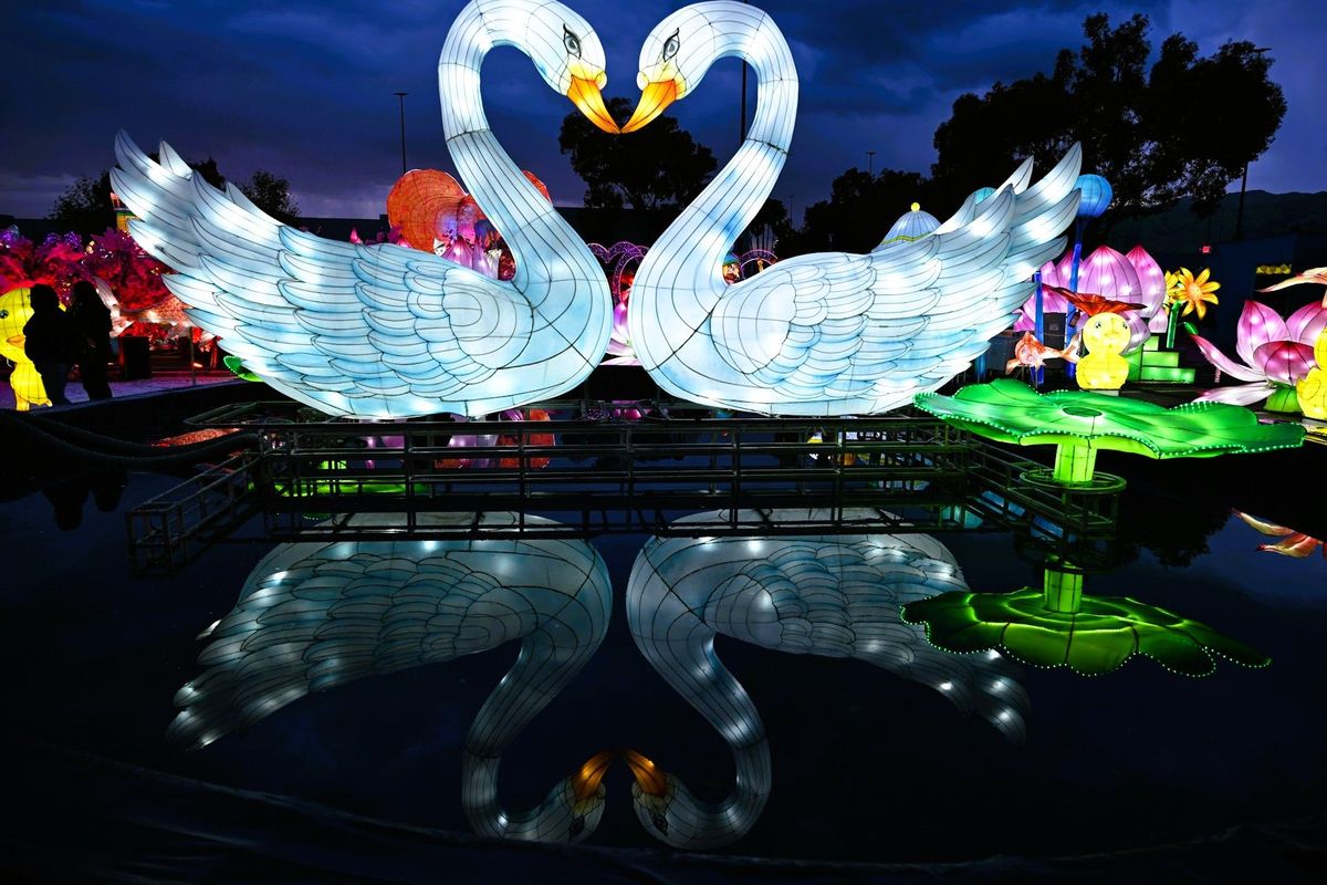 A couple of white swans in Imaginarium’s Lemuria located at the Great Mall, Milpitas, California