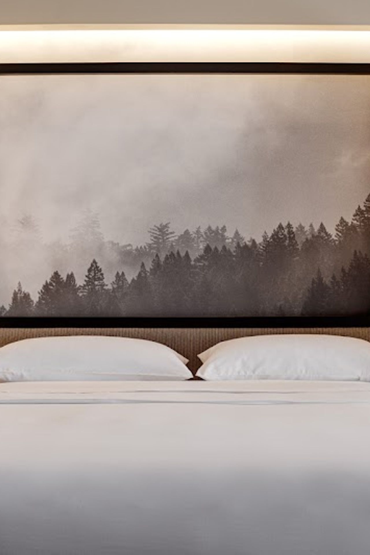 Photo of Archer Hotel Napa