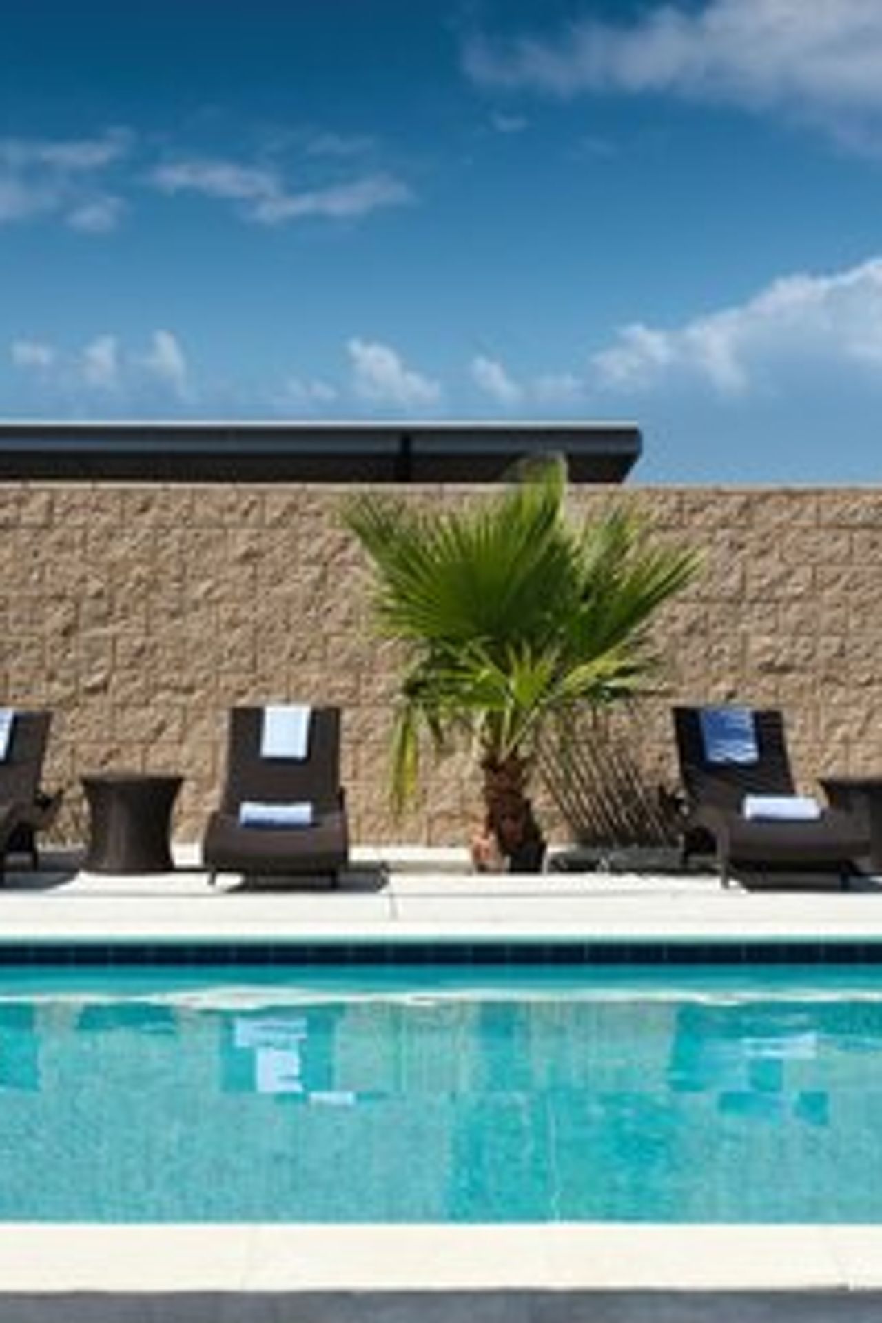 Photo of SpringHill Suites Milpitas Silicon Valley
