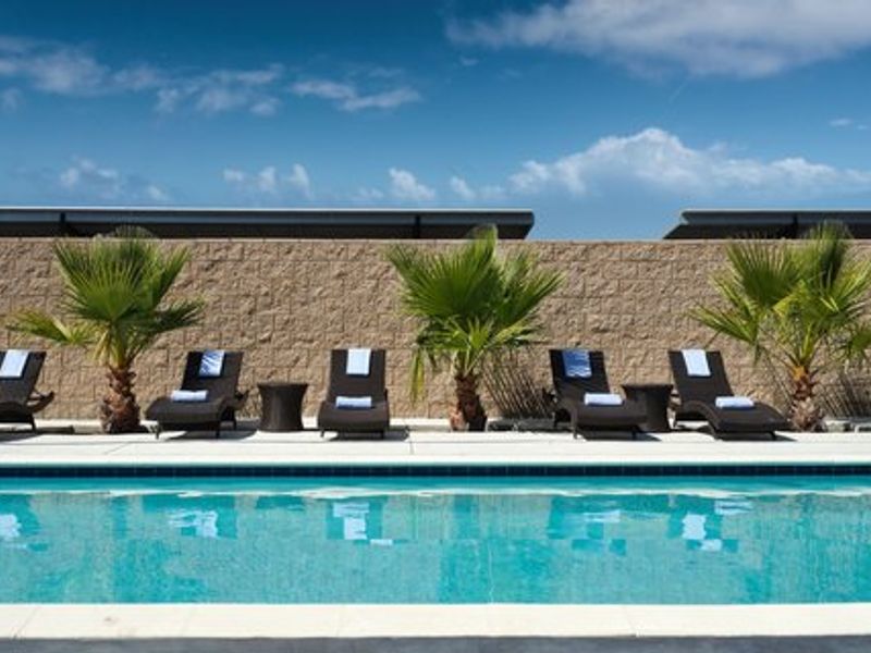 Photo of SpringHill Suites Milpitas Silicon Valley
