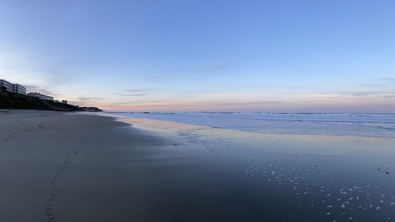 Photo of Seahorse Oceanfront Lodging
