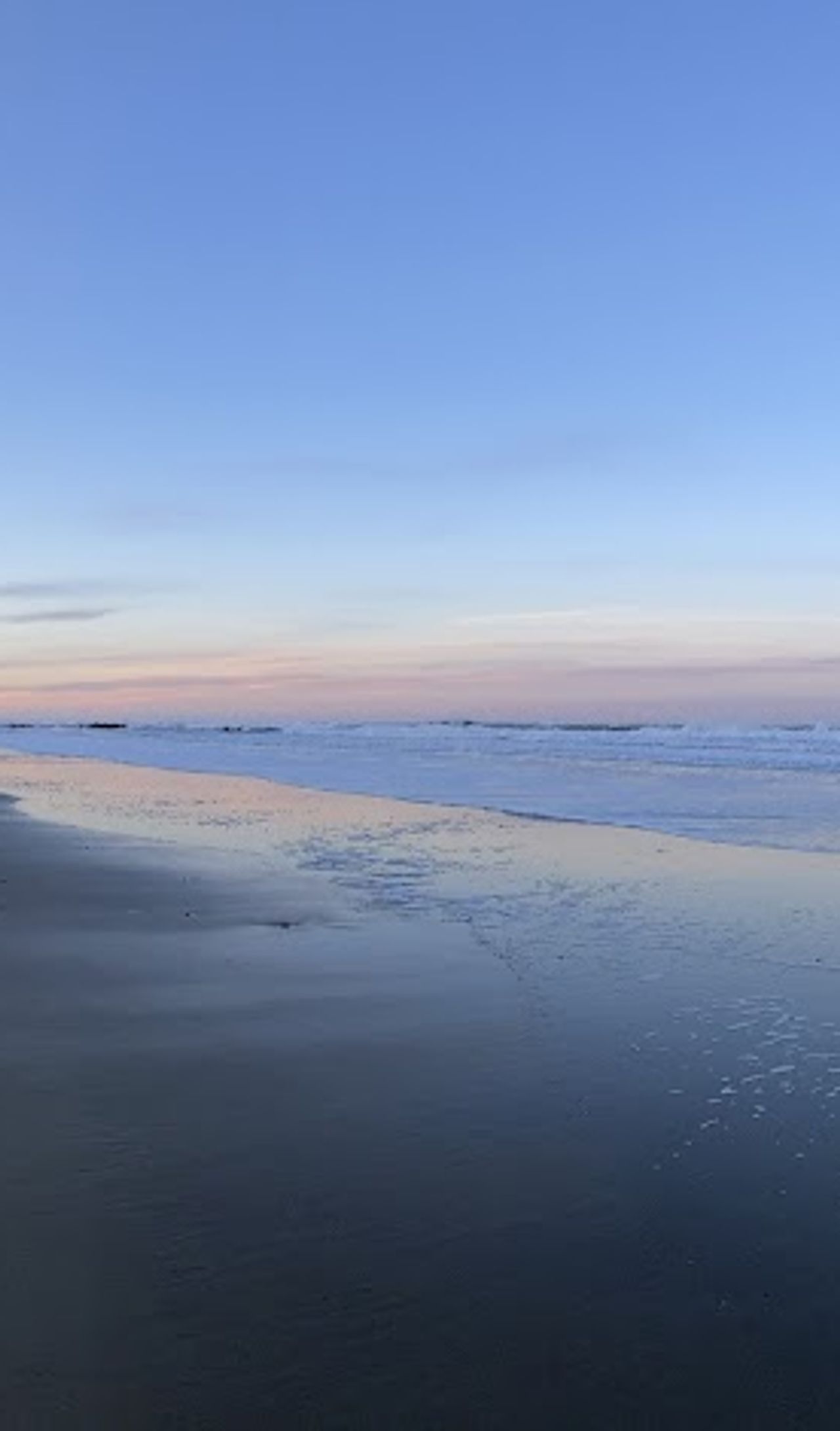 Photo of Seahorse Oceanfront Lodging