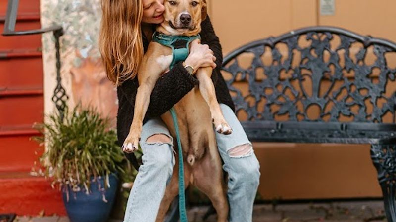 Photo of Marina Motel