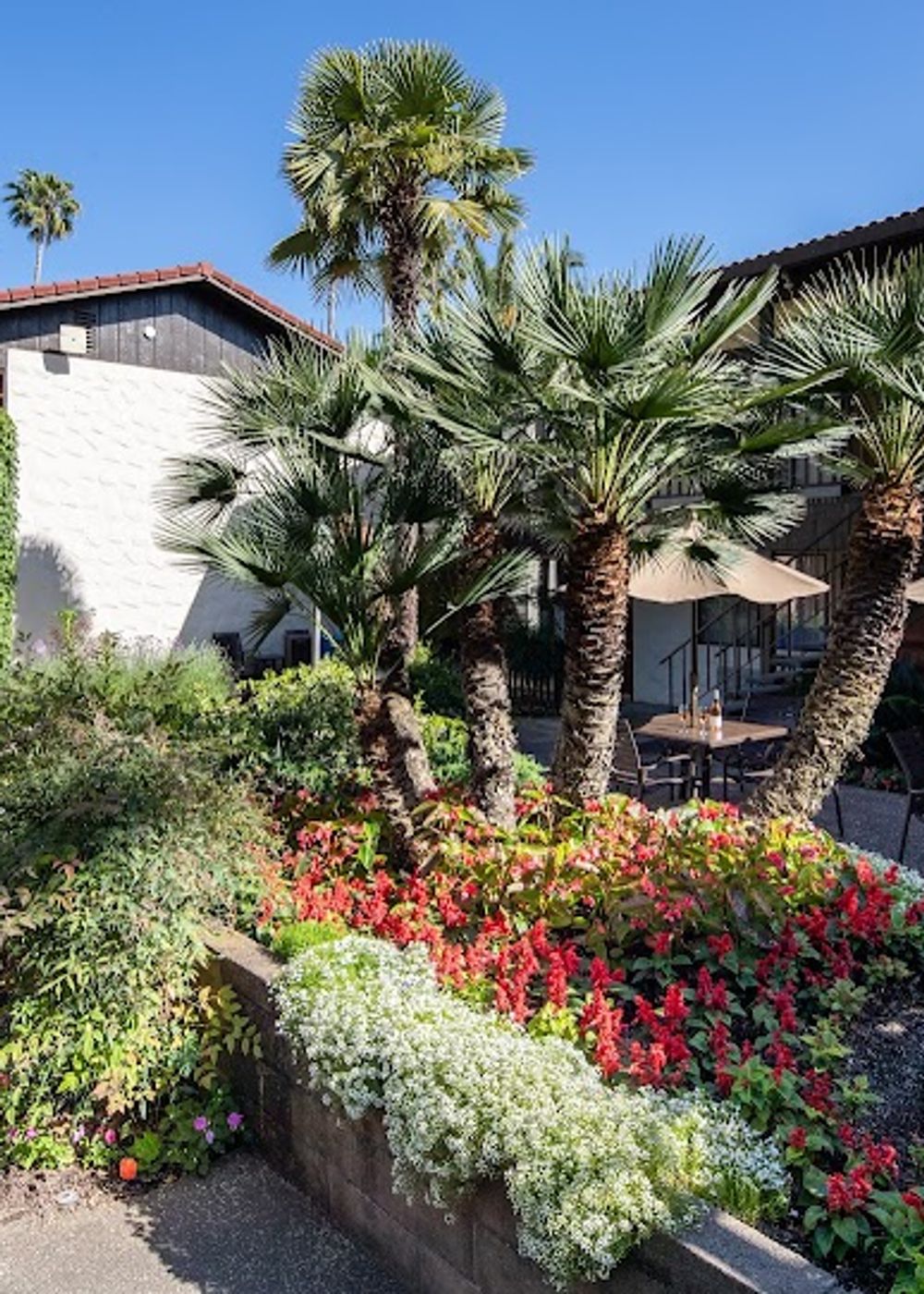 Roman Spa Hot Springs Resort