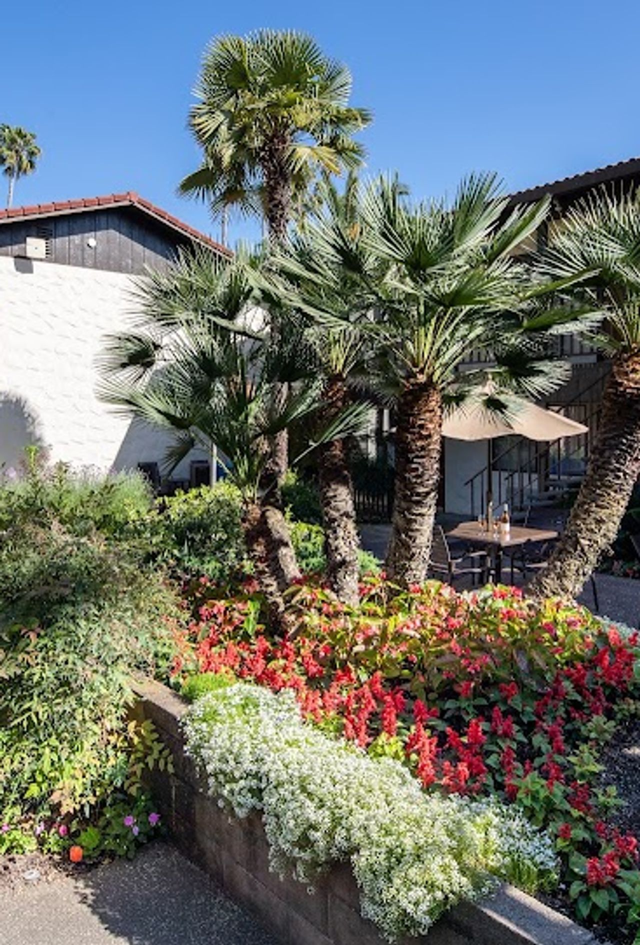 Photo of Roman Spa Hot Springs Resort